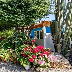 https://luxury-1-bedroom-in-a-relaxing-tropical-garden.comcaribbean.com